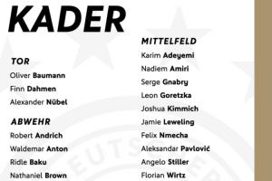 德国名单：沃尔特马德、维尔茨领衔 基米希、努贝尔在列 萨内落选