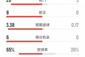 切尔西3-0狼队全场数据：射门20-3，射正8-0，得分机会6-0