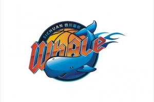 媒体人谈四川队：还是多方出面 按规则办事 救活或沉淀几年再回来