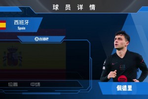 拉菲尼亚球员集锦：爆发射术兼具的边路球星