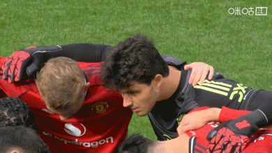 曼联2比0胜桑德兰，拉门斯首秀芒特舍什科破门