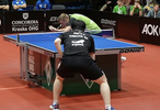 一胜一负，樊振东告别德甲，备战全运会